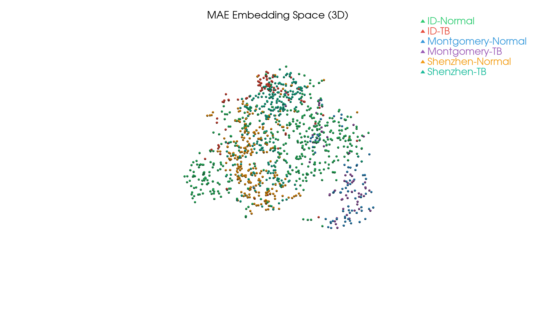 MAE 3D embedding
