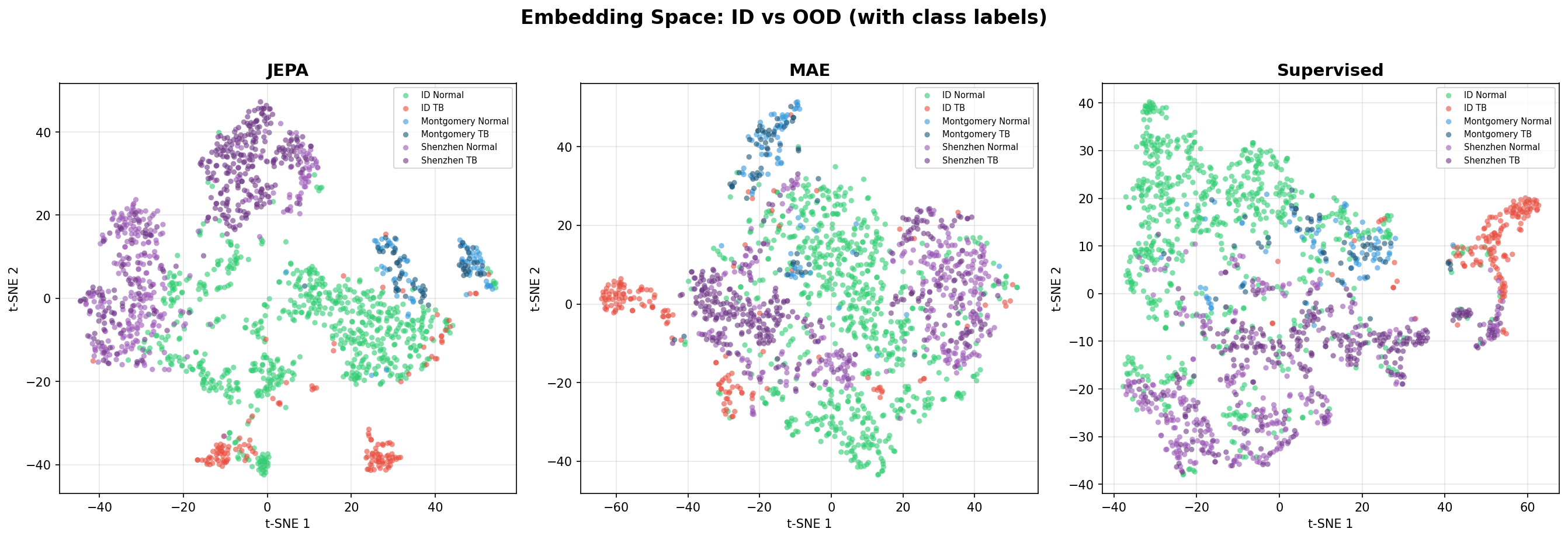 Embedding visualization