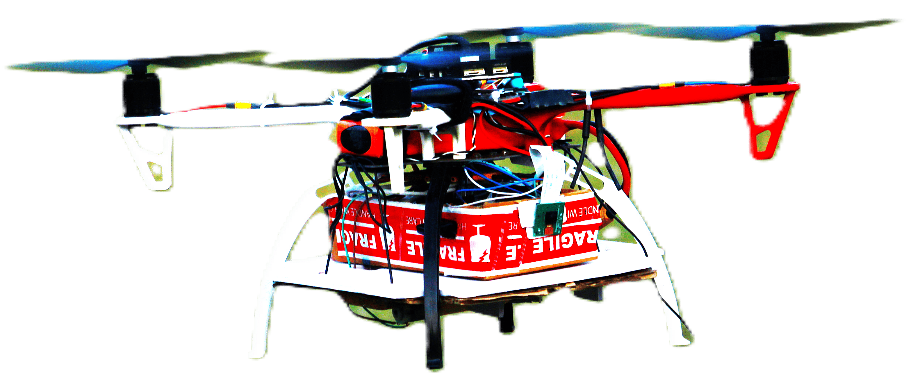DRISTI Drone