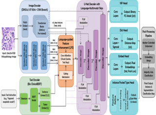 CIPS-Net for Histopathology paper thumbnail