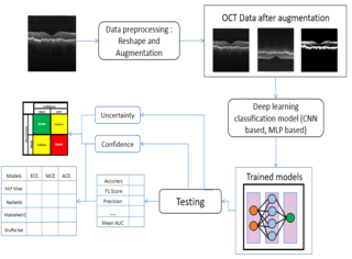 Uncertainty Quantification in OCT paper thumbnail