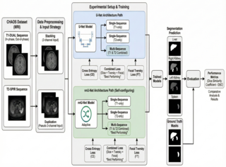 Multi-Sequence MRI Image Analysis paper thumbnail